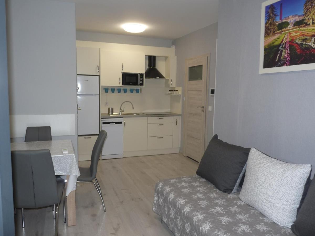 Apartament W Centrum Ciechocinka تشيخوتشينيك المظهر الخارجي الصورة